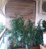 Καφασωτό Πηχάκι Ενισχυμένο πυκνό 150x150 cm - Image 6