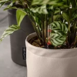 Αυτοποτιζόμενη Γλάστρα Lechuza Trendcover Anthracite - Image 3