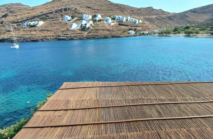 Βέργα Λεπτοκαρυάς Μασίφ 5 -12 mm (5μ ρολό) - Image 4