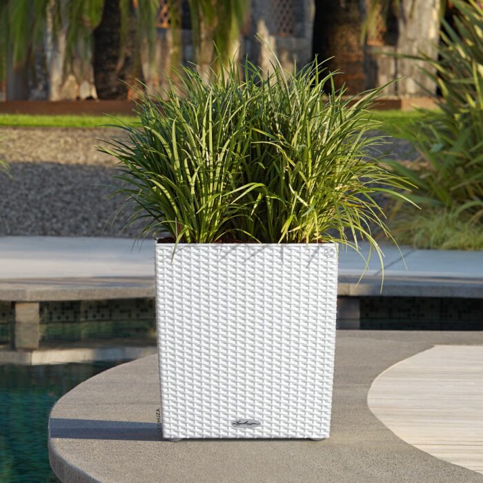 Αυτοποτιζόμενη Γλάστρα Lechuza Cottage Cube White - Image 2