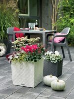 Αυτοποτιζόμενη Γλάστρα Lechuza Cottage Cube White - Image 3