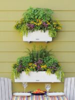 Αυτοποτιζόμενη Γλάστρα Lechuza Balconera Cottage White - Image 4