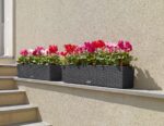 Αυτοποτιζόμενη Γλάστρα Lechuza Balconera Cottage White - Image 15
