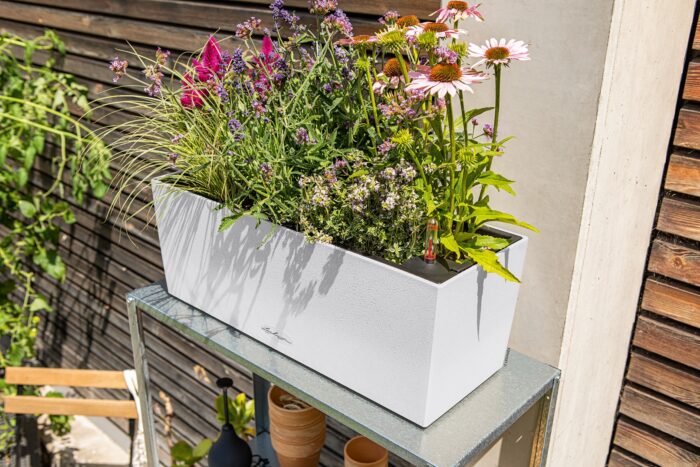Αυτοποτιζόμενη Γλάστρα Lechuza Balconera Stone White - Image 2
