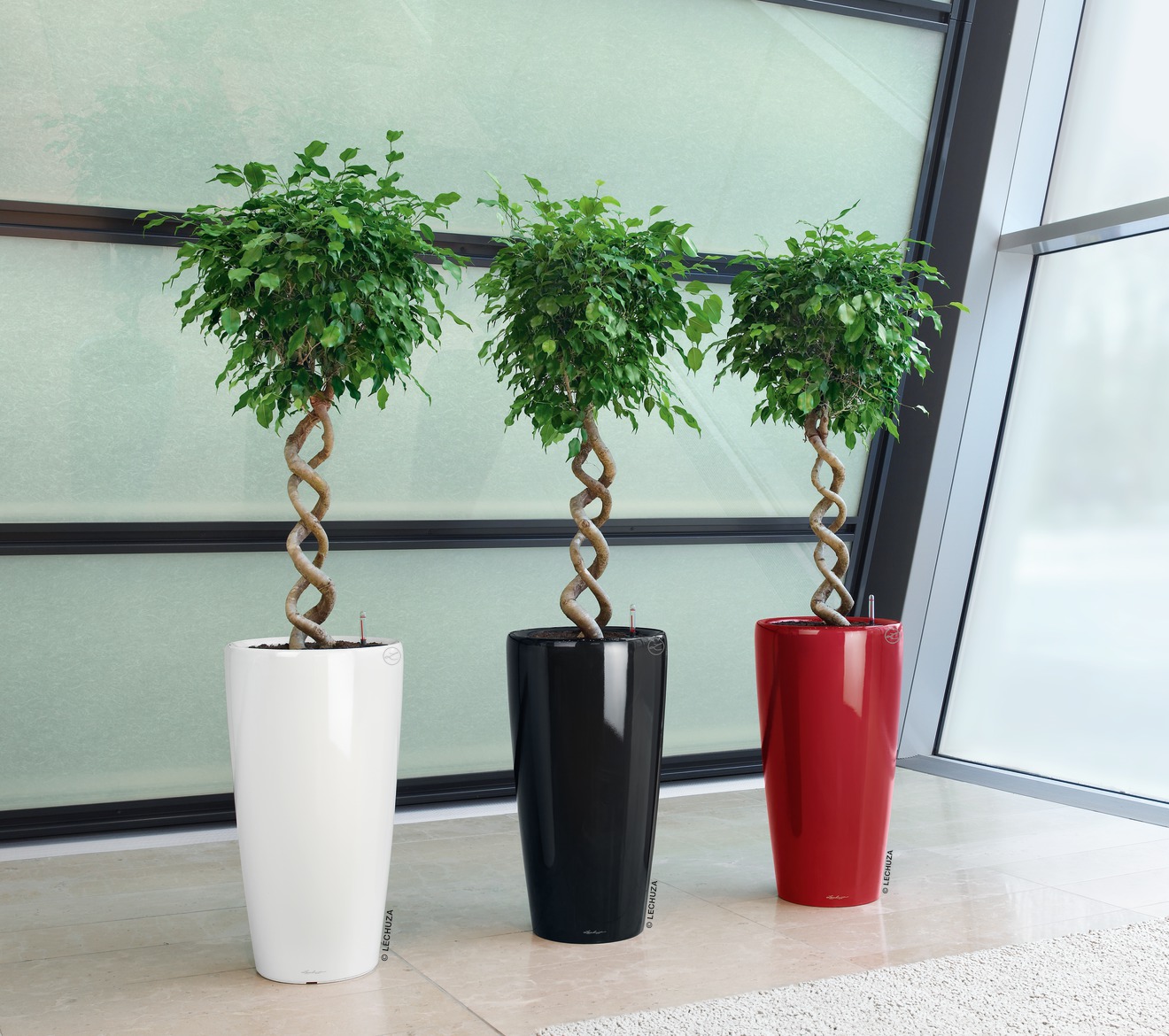 Αυτοποτιζόμενη Γλάστρα Lechuza Rondo White High Gloss - Image 30