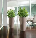 Αυτοποτιζόμενη Γλάστρα Lechuza Rondo White High Gloss - Image 31