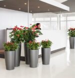 Αυτοποτιζόμενη Γλάστρα Lechuza Rondo White High Gloss - Image 32