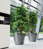 Αυτοποτιζόμενη Γλάστρα Lechuza Classico Charcoal Metallic - Image 3