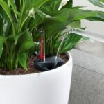 Αυτοποτιζόμενη Γλάστρα Lechuza Classico White High Gloss - Image 8