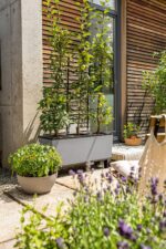 Αυτοποτιζόμενη Γλάστρα Lechuza  Trio Stone Stone Grey 100 x 29,5 x (Y) 34 cm - Image 3