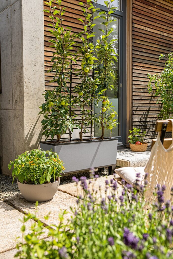 Αυτοποτιζόμενη Γλάστρα Lechuza  Trio Stone Stone Grey 100 x 29,5 x (Y) 34 cm - Image 3