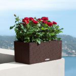 Αυτοποτιζόμενη Γλάστρα Lechuza Balconera Cottage White - Image 10