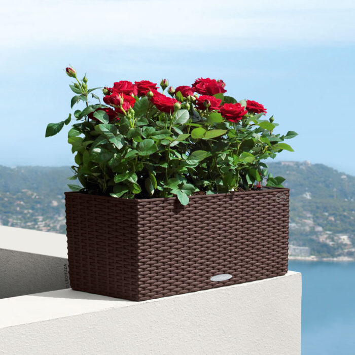 Αυτοποτιζόμενη Γλάστρα Lechuza Balconera Cottage White - Image 10