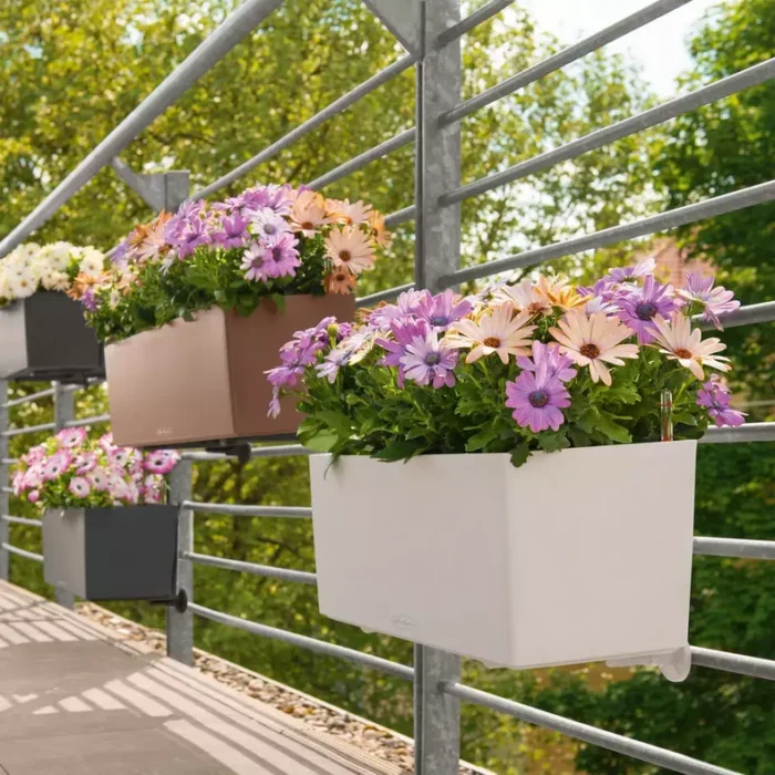 Αυτοποτιζόμενη Γλάστρα Lechuza Balconera Color 80 - Image 1