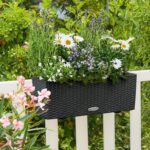 Αυτοποτιζόμενη Γλάστρα Lechuza Balconera Cottage Graphite black - Image 2