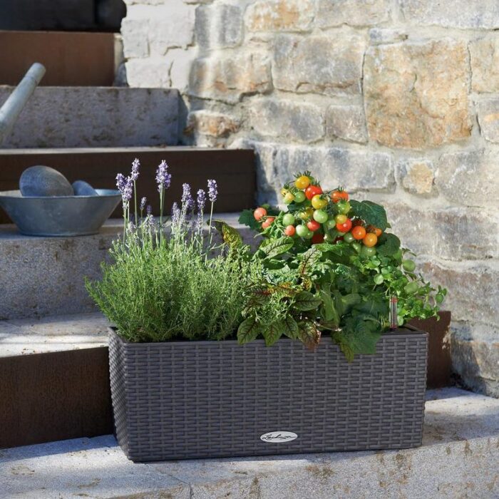 Αυτοποτιζόμενη Γλάστρα Lechuza Balconera Cottage Granite - Image 6