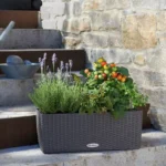Αυτοποτιζόμενη Γλάστρα Lechuza Balconera Cottage Graphite black - Image 12