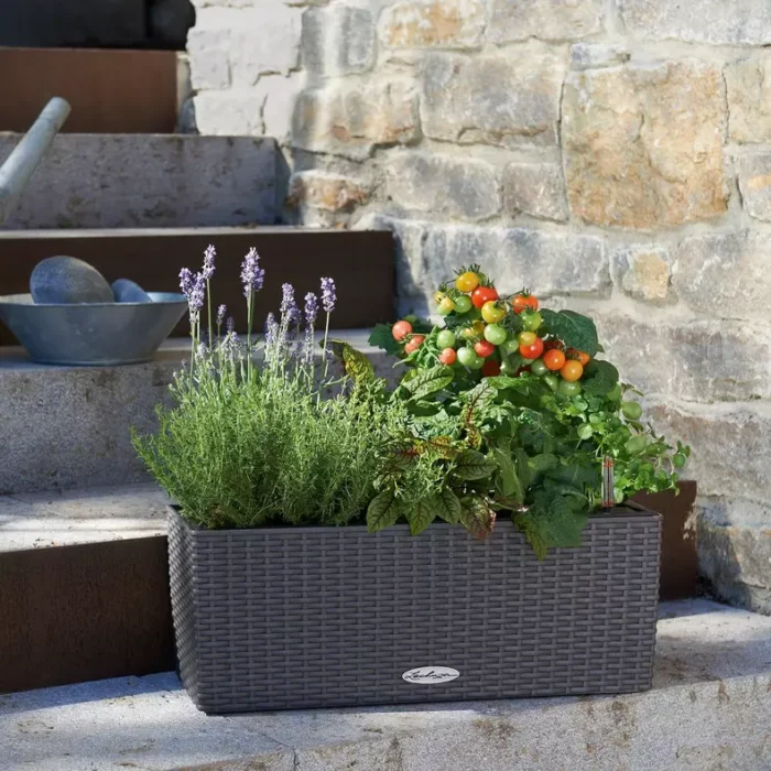 Αυτοποτιζόμενη Γλάστρα Lechuza Balconera Cottage Graphite black - Image 12