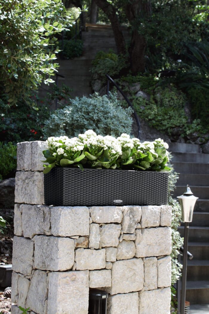 Αυτοποτιζόμενη Γλάστρα Lechuza Balconera Cottage Granite - Image 3