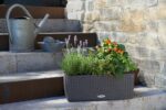 Αυτοποτιζόμενη Γλάστρα Lechuza Balconera Cottage Granite - Image 12