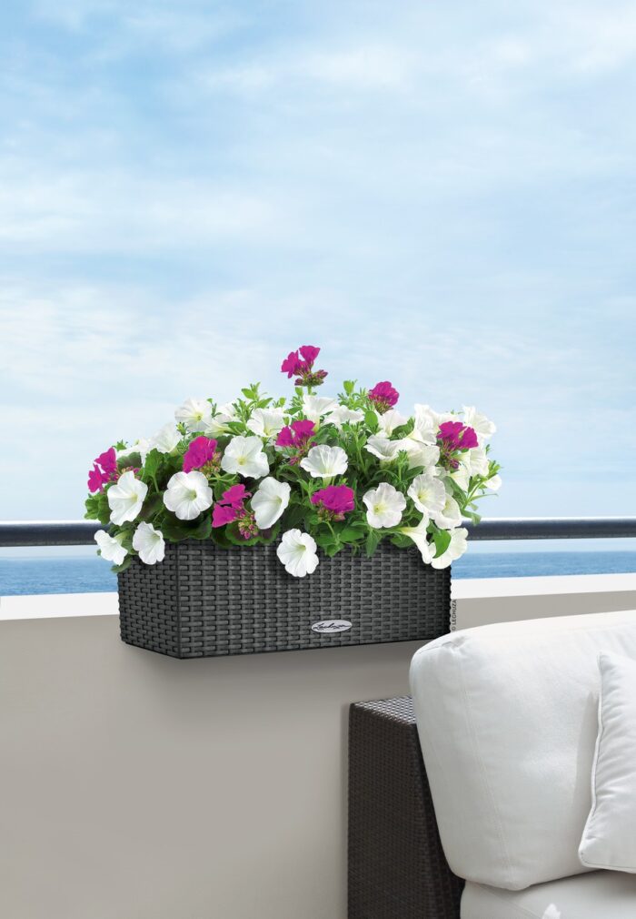 Αυτοποτιζόμενη Γλάστρα Lechuza Balconera Cottage Granite - Image 7