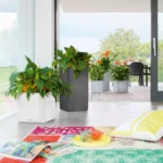 Αυτοποτιζόμενη Γλάστρα Lechuza Canto 40 High White High Gloss (Y)76x40x40cm - Image 2