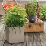 Αυτοποτιζόμενη Γλάστρα Lechuza Canto Stone Low Graphite Black - Image 13