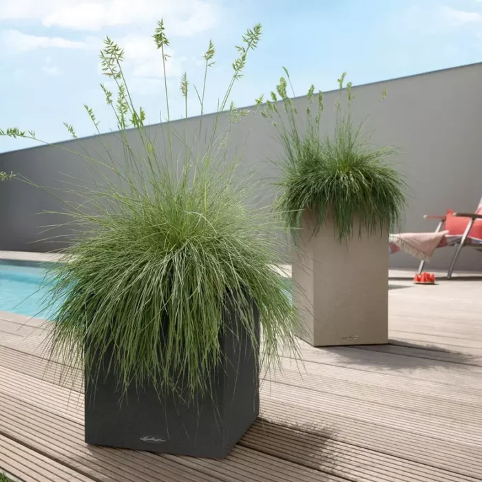 Αυτοποτιζόμενη Γλάστρα Lechuza Canto Stone Low Graphite Black - Image 3