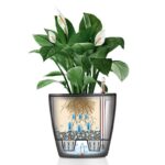 Αυτοποτιζόμενη Γλάστρα Lechuza Classico Black High Gloss - Image 11