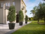 Αυτοποτιζόμενη Γλάστρα Lechuza Classico Charcoal Metallic - Image 5