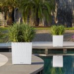 Αυτοποτιζόμενη Γλάστρα Lechuza Cottage Cube White - Image 7