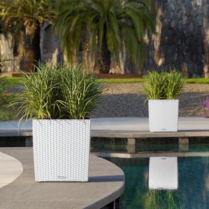 Αυτοποτιζόμενη Γλάστρα Lechuza Cottage Cube White - Image 7