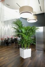 Αυτοποτιζόμενη Γλάστρα Lechuza Cube White High Gloss - Image 2