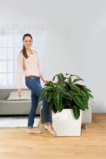 Αυτοποτιζόμενη Γλάστρα Lechuza Cube White High Gloss - Image 5