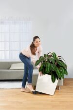 Αυτοποτιζόμενη Γλάστρα Lechuza Cube White High Gloss - Image 6