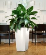 Αυτοποτιζόμενη Γλάστρα Lechuza Cubico White High Gloss - Image 3