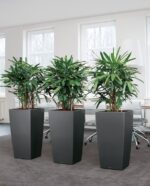 Αυτοποτιζόμενη Γλάστρα Lechuza Cubico Charcoal Metallic - Image 5