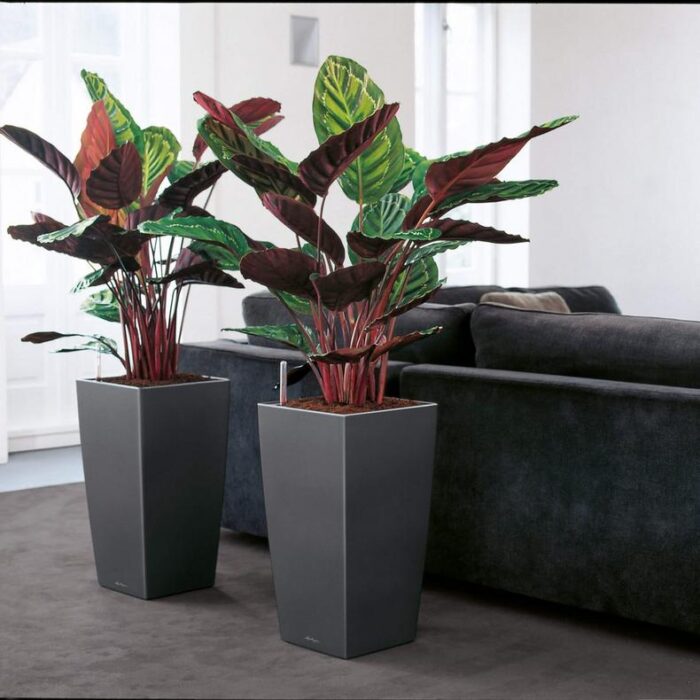 Αυτοποτιζόμενη Γλάστρα Lechuza Cubico Charcoal Metallic - Image 3