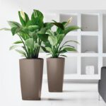 Αυτοποτιζόμενη Γλάστρα Lechuza Cubico Taupe High Gloss - Image 2