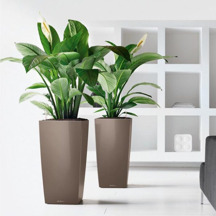 Αυτοποτιζόμενη Γλάστρα Lechuza Cubico Taupe High Gloss - Image 2