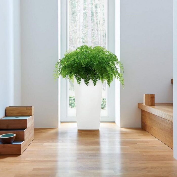 Αυτοποτιζόμενη Γλάστρα Lechuza Cubico White High Gloss - Image 7