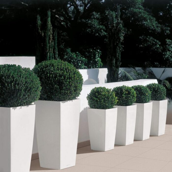 Αυτοποτιζόμενη Γλάστρα Lechuza Cubico White High Gloss - Image 6