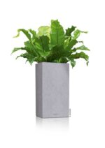 Αυτοποτιζόμενη Γλάστρα Lechuza Canto Stone High Grey - Image 11