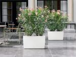 Αυτοποτιζόμενη Γλάστρα Lechuza Cararo White High Gloss (Y)43x75x30cm - Image 3