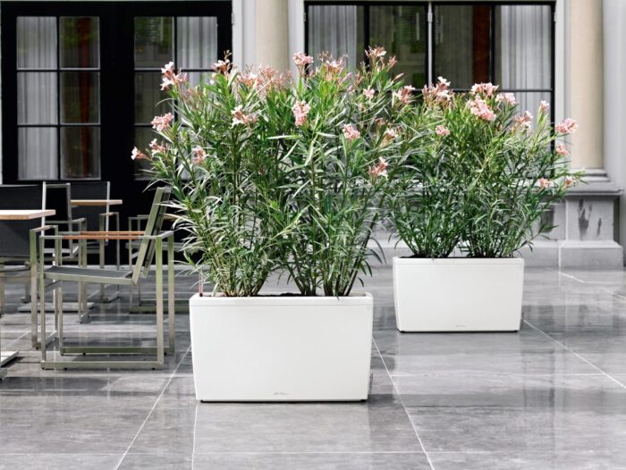 Αυτοποτιζόμενη Γλάστρα Lechuza Cararo White High Gloss (Y)43x75x30cm - Image 3