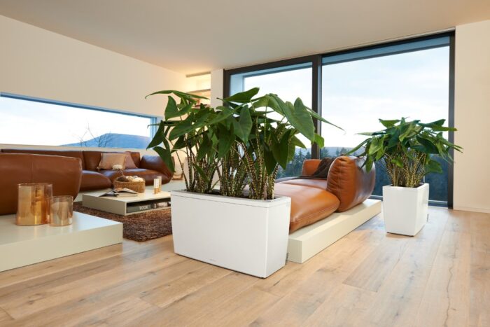 Αυτοποτιζόμενη Γλάστρα Lechuza Cararo White High Gloss (Y)43x75x30cm - Image 2