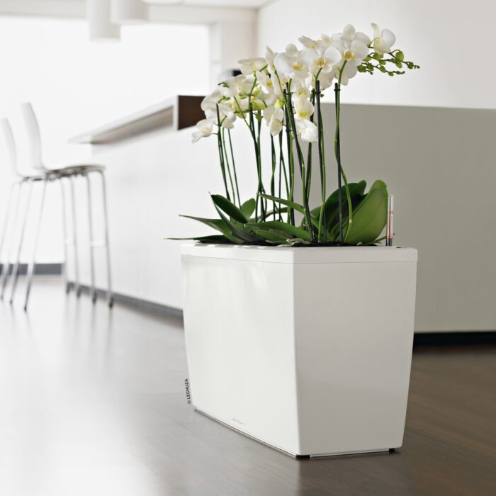 Αυτοποτιζόμενη Γλάστρα Lechuza Cararo White High Gloss (Y)43x75x30cm - Image 4
