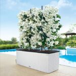 Αυτοποτιζόμενη Γλάστρα Lechuza  Trio Cottage White - Image 2