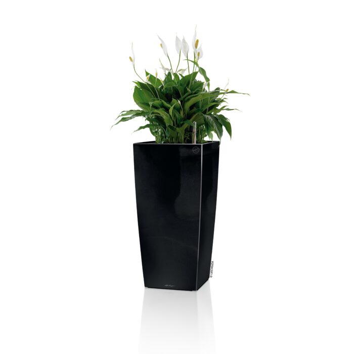 Αυτοποτιζόμενη Γλάστρα Lechuza Cubico Black High Gloss - Image 3