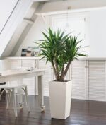 Αυτοποτιζόμενη Γλάστρα Lechuza Cubico Color White - Image 2